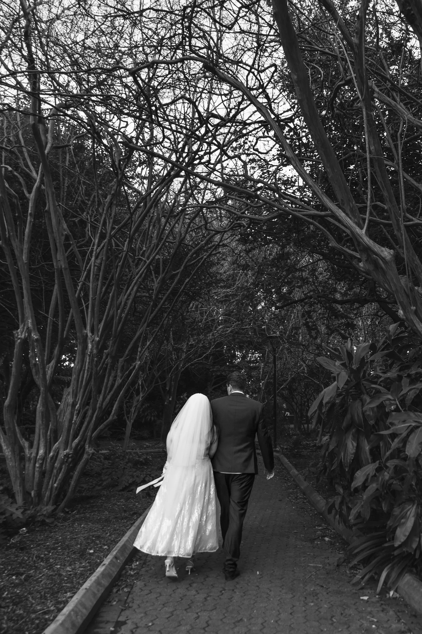 Carlie and Iain romantic black and white walk through natural garden path with overhanging trees