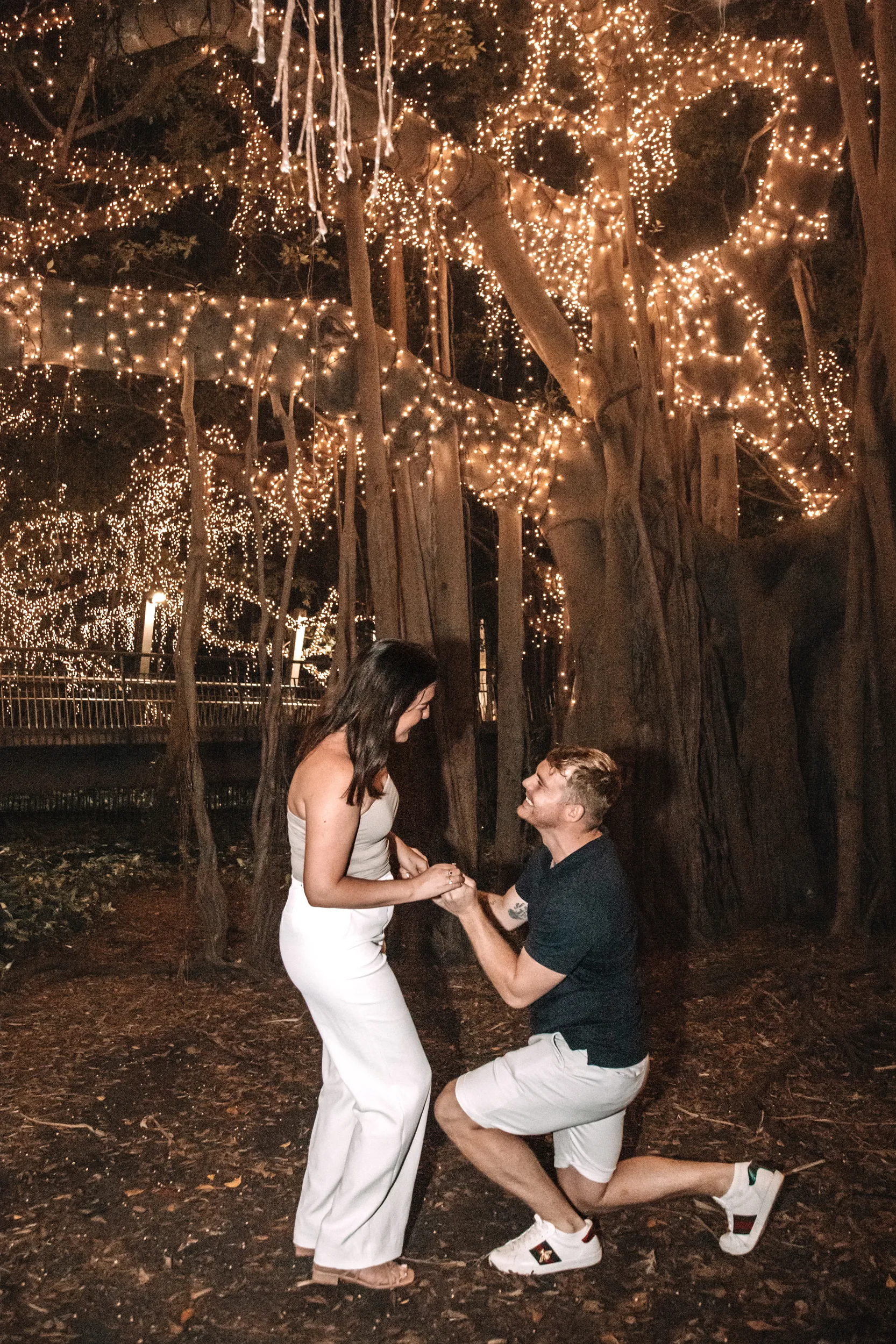 Magical marriage proposal under fairy lights in trees at night with man kneeling