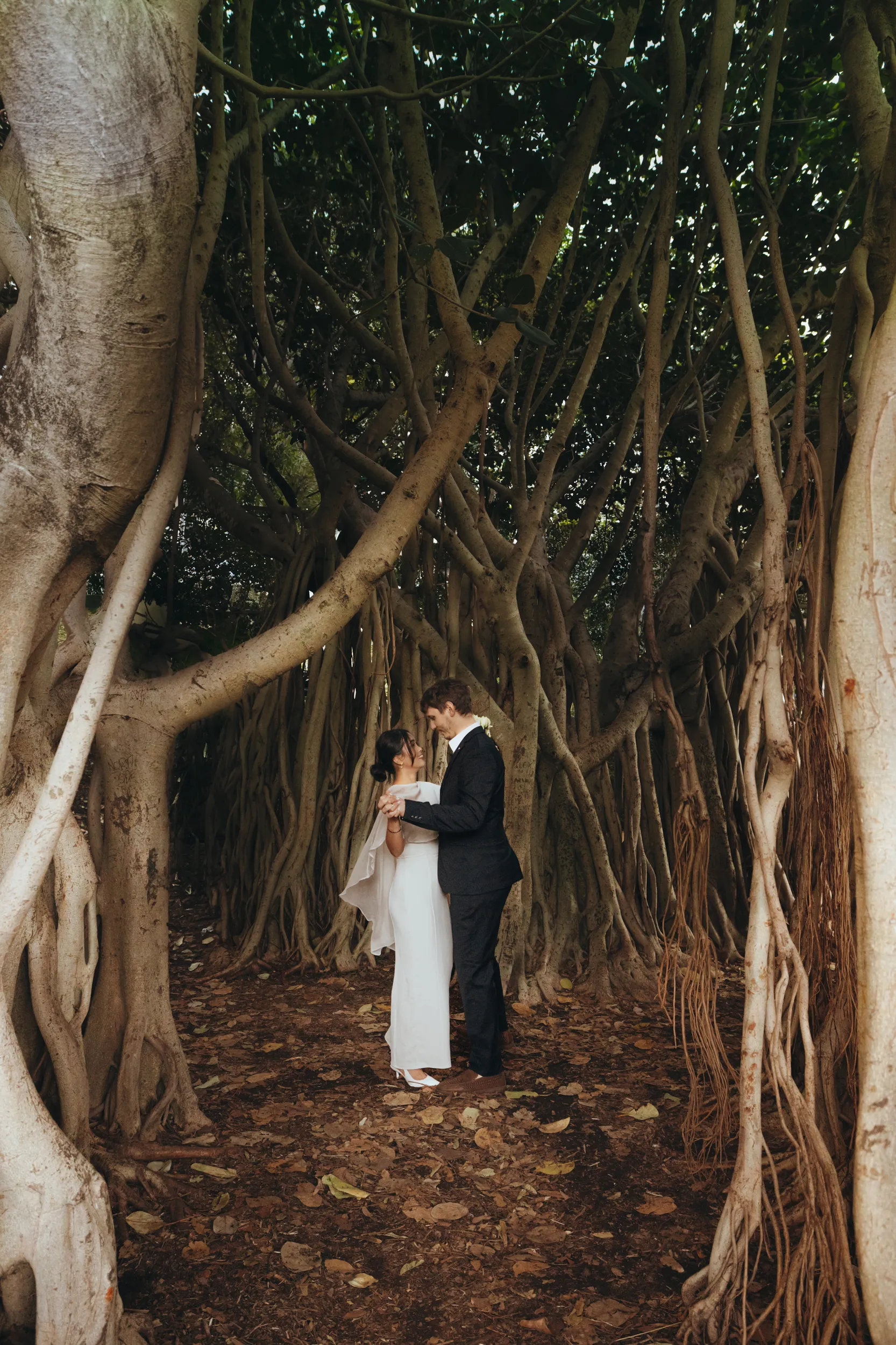 Romantic wedding portrait of couple embracing under dramatic banyan tree aerial roots creating natural cathedral